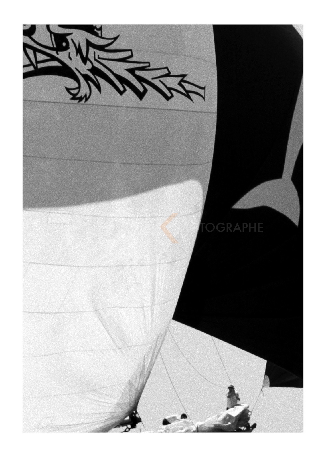 White Dolphin sous le spi de Moonbeam of Fife