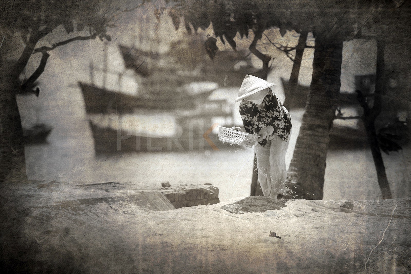 Séchage des crevettes à Mui Ne