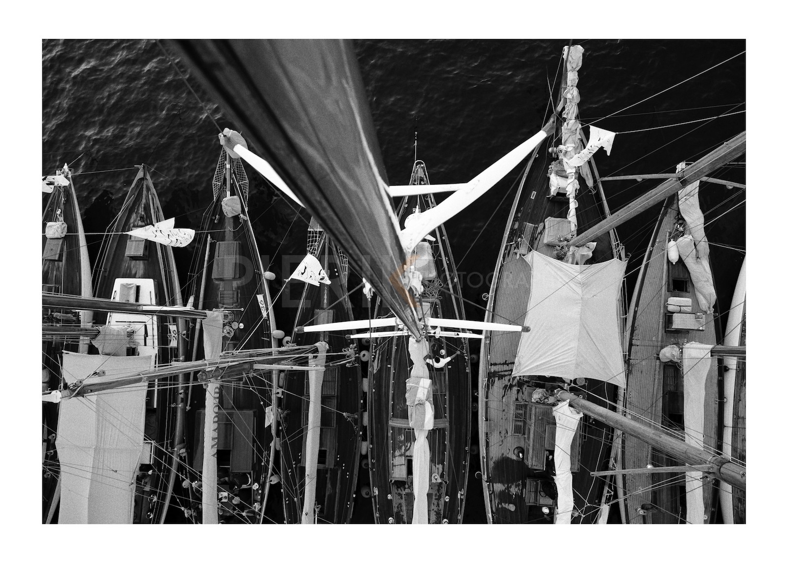 en haut du mât de Nagaina